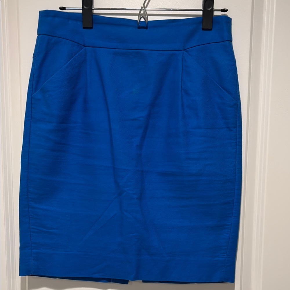 Elegant Blue Women's Skirt